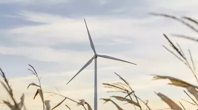 wind