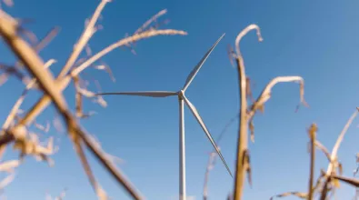 wind_turbine_wheat.jpg wind_turbine_wheat.jpg