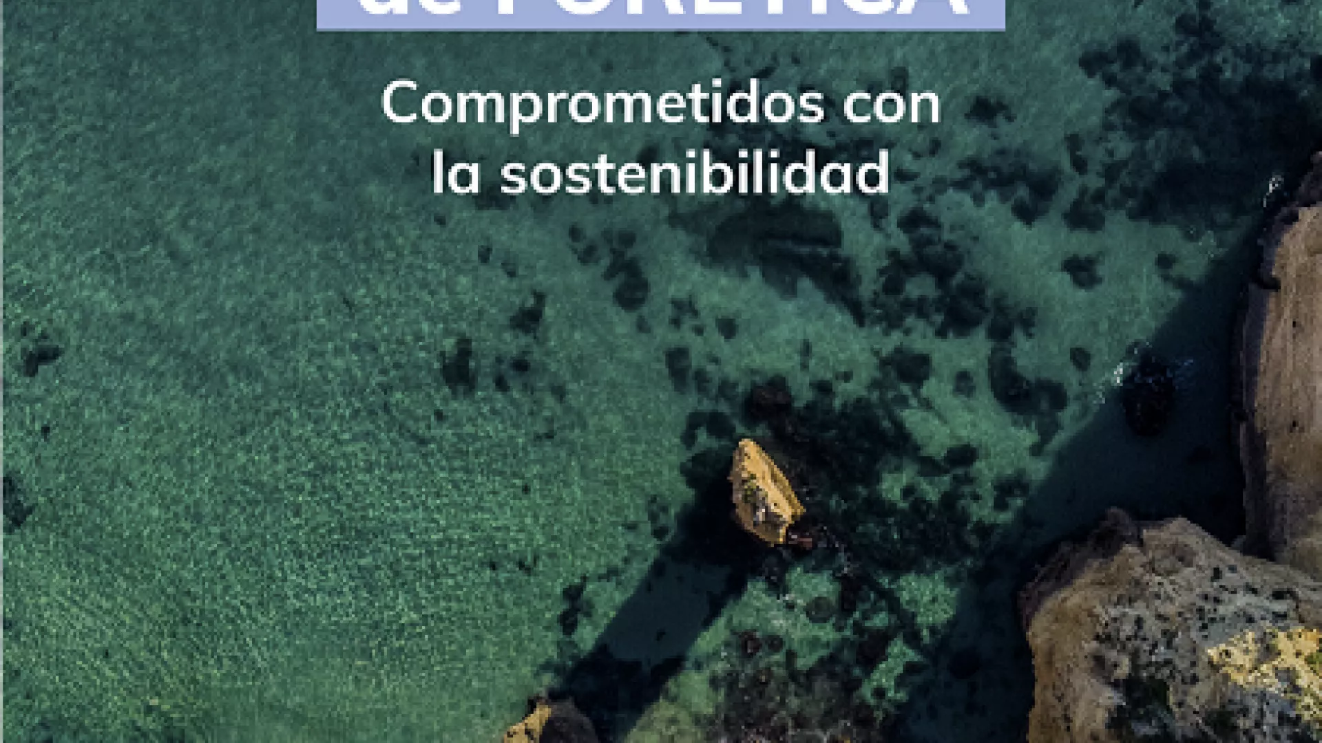 RRSS_EDP%20FORETICA_stories_1080x1920-15.png RRSS_EDP%20FORETICA_stories_1080x1920-15.png