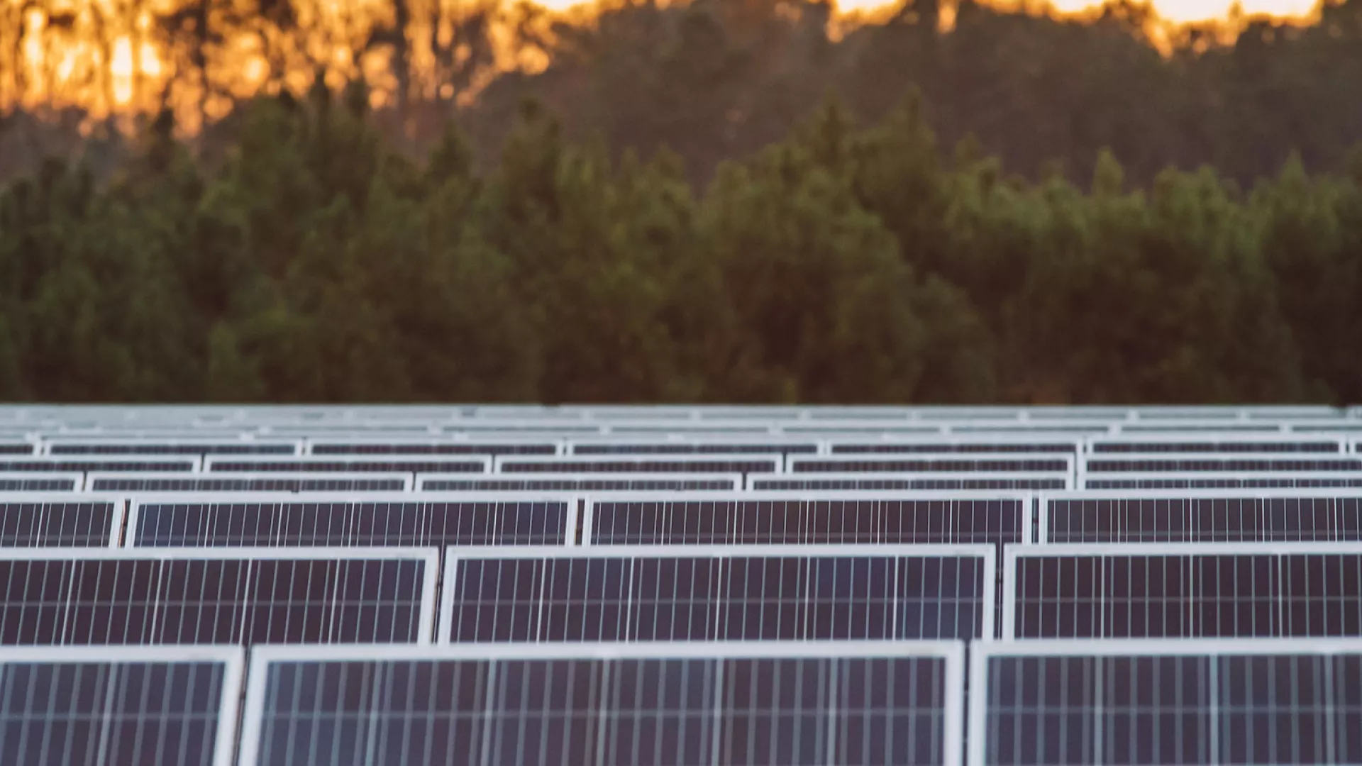 solar_banner_rows2_web.jpg solar_banner_rows2_web.jpg