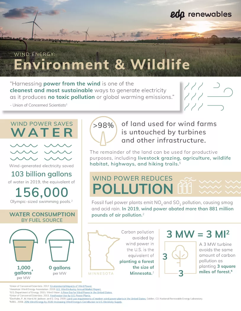 Environmental_1.jpg