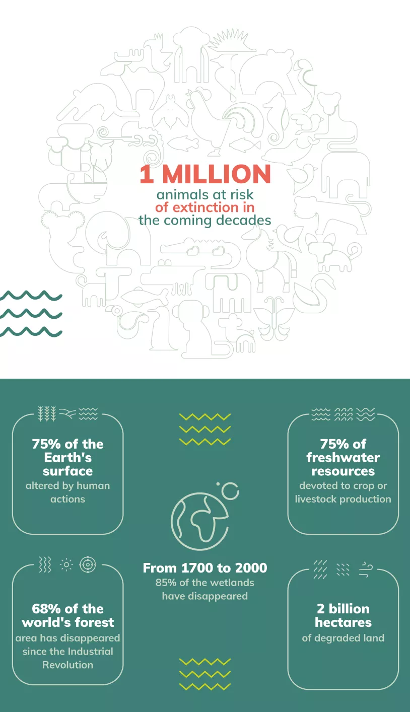 Biodiversidade_Infografico_EN_0.jpg