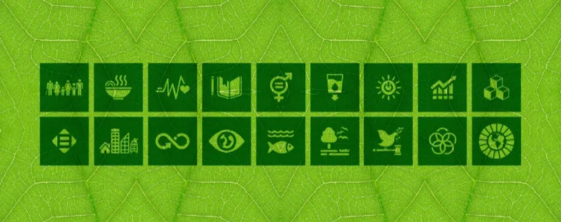 edpr-apac-resources-singapore-green-plan.jpg