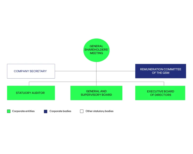 Governance Model