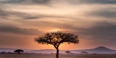 africa%20sun_01_0.jpg