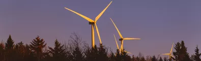 wind_banner_sunset2_web.jpg