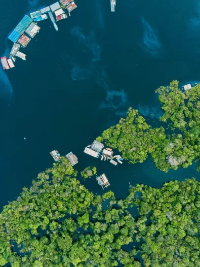 amazonas.jpg